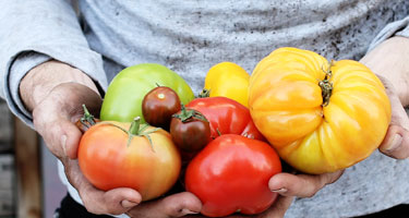 The Finest Food Banner