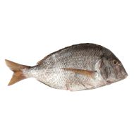 Porgy