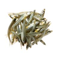 Whitebait