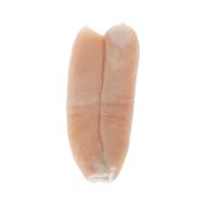 Bottarga