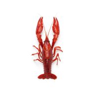 Crawfish