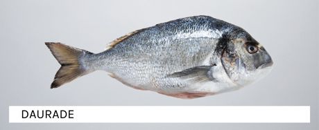 The banner of the Whole Fish category