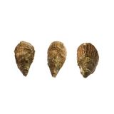 Lucky Lime Oyster