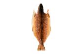 Butterflied Farmed Idaho Trout