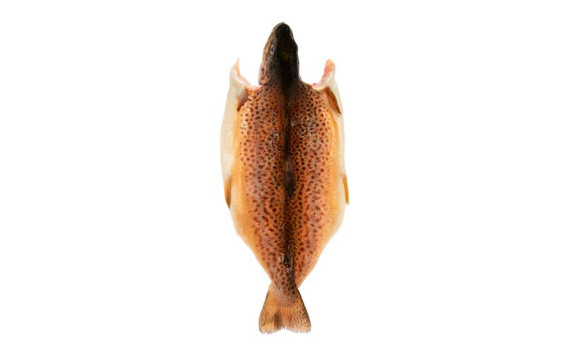 Butterflied Farmed Idaho Trout