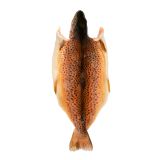 Butterflied Farmed Idaho Trout
