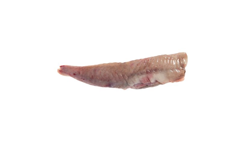 Skin On Pinbone Out Wild Long Island Monkfish Filets
