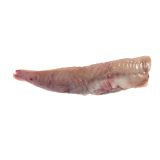 Skin On Pinbone Out Wild Long Island Monkfish Filets