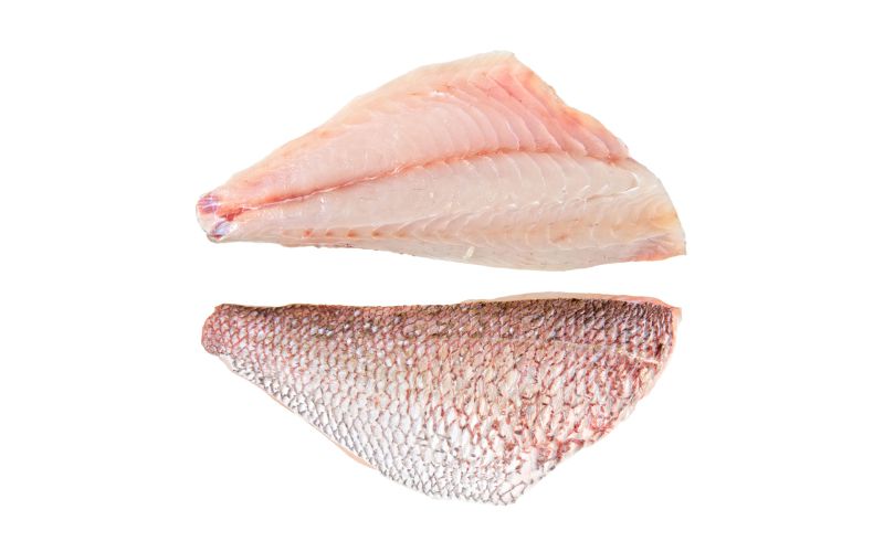 Filleted Wild Madai Snapper