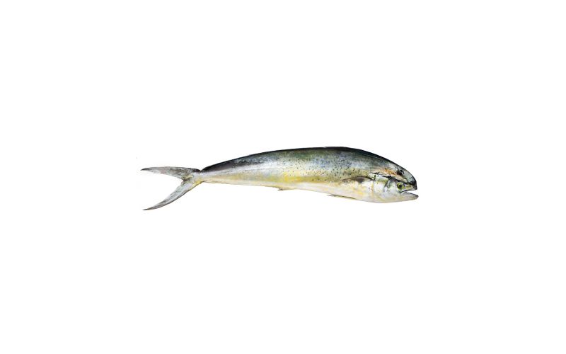 Whole Wild Mahi Mahi