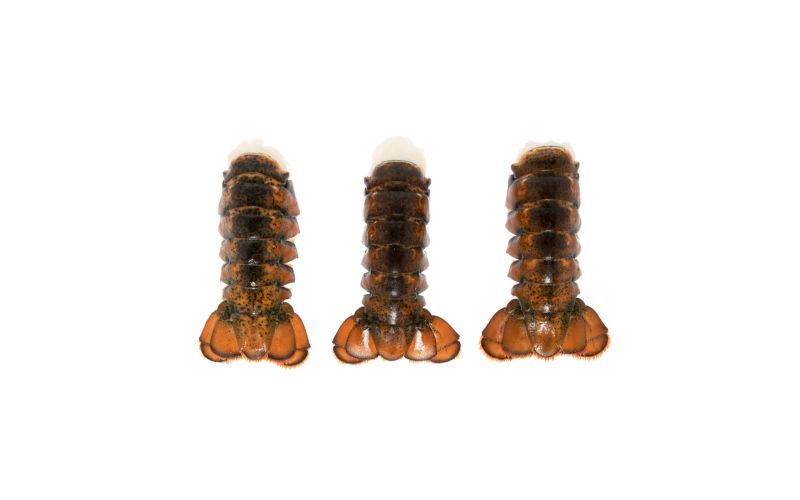 Frozen 4-6 OZ Lobster Tails