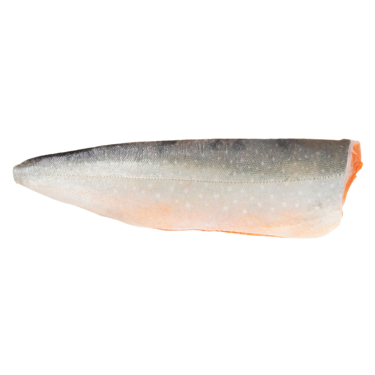 Pinboe Skin On Pinbone Out Farmed Artic Char Filets | Arctic Char | Pierless Fish