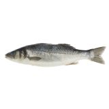 Whole Wild Farmed Loup De Mer Branzino