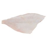 Skin On Pinbone Out Wild Long Island Fluke Filets