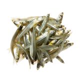 Wild Whitebait