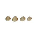 Farmed Cockle Clams