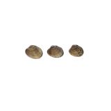 Farmed Manilla Clams