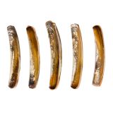 Wild Razor Clams