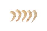 Wild Peeled and Deveined Shrimp