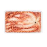 Whole Wild Octopus