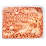 Whole Wild Octopus
