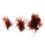 Edible Ogo Seaweed