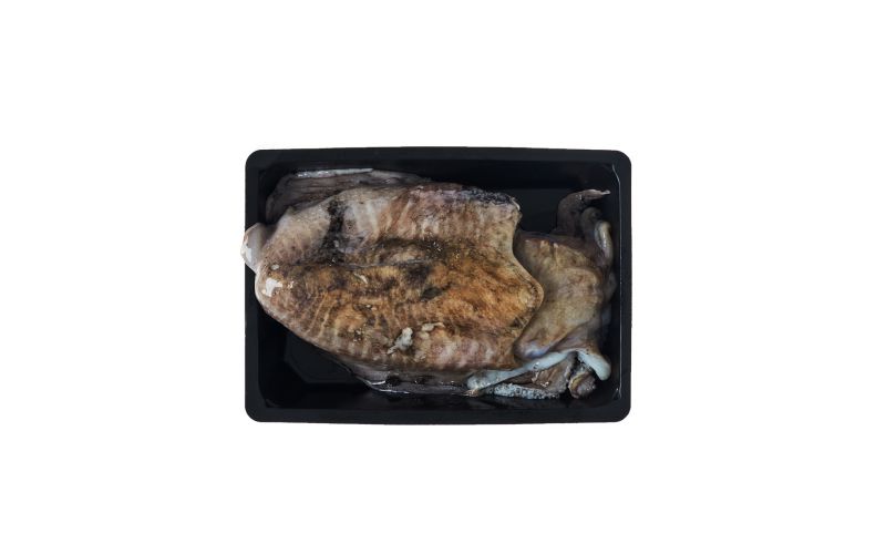 Frozen Dirty Sepia Cuttlefish
