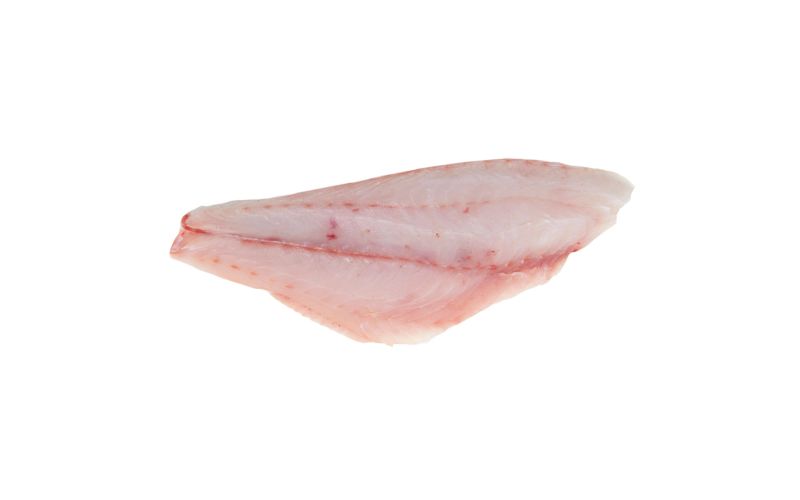 Skin Off Wild Red Snapper Filets