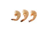 Wild Shell On 21-25 Shrimp