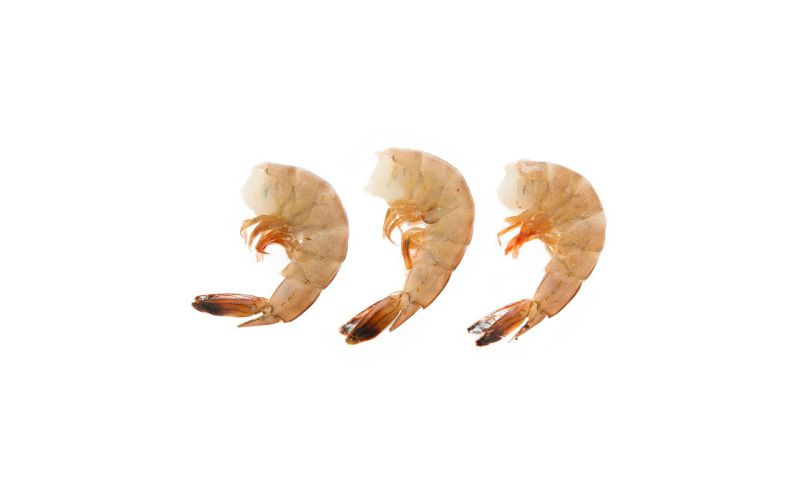 Shell On Wild 16-20 Shrimp